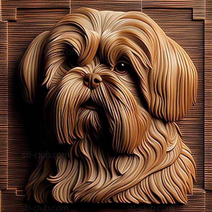 st Lhasa APSO dog